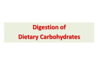 D igestion of Dietary Carbohydrates
