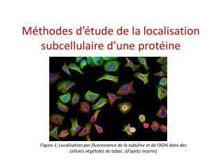 localisation