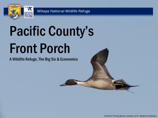 Willapa National Wildlife Refuge
