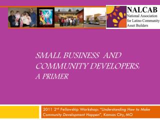 Small Business and Community Developers: A Primer