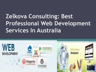 Zelkova Consulting: Professional Web Development Services
