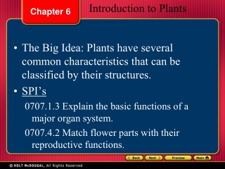 Introduction to Plants
