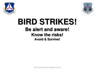 BIRD STRIKES! Be alert and aware! Know the risks! Avoid & Survive!