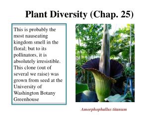 Plant Diversity (Chap. 25)
