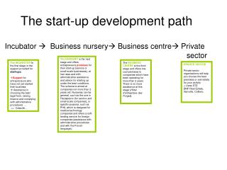 The start-up development path