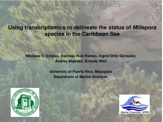 Using transcriptomics to delineate the status of Millepora species in the Caribbean Sea