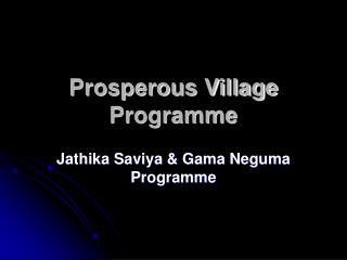 Prosperous Village Programme