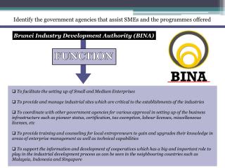 Identify the government agencies that assist SMEs and the programmes offered