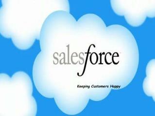 salesforce development services