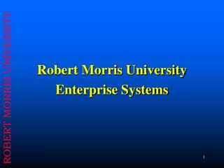 Robert Morris University Enterprise Systems