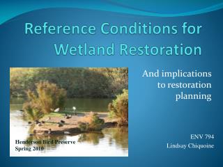 Reference Conditions for Wetland Restoration