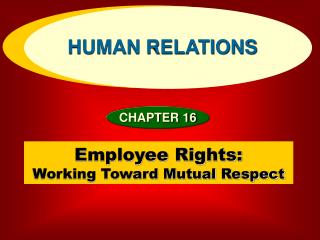 Employee Rights: Working Toward Mutual Respect