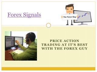 Forex Trading Signals