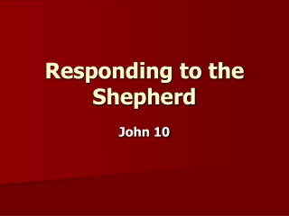 Responding to the Shepherd