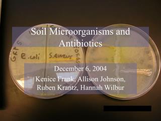 Soil Microorganisms and Antibiotics