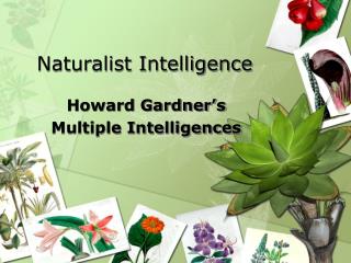 Naturalist Intelligence