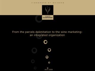 From the parcels delimitation to the wine marketing: an integrated organization