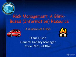 Risk Management: A Blink-Based (Information) Resource