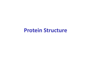 Protein Structure