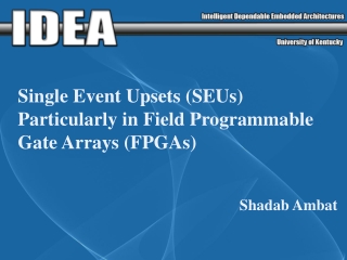 Single Event Upsets (SEUs) Particularly in Field Programmable Gate Arrays (FPGAs)