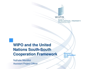 WIPO and the United Nations South-South Cooperation Framework