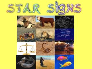 What is a star sign?