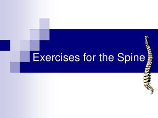 Exercises for the Spine