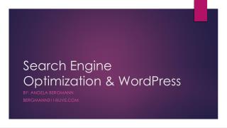 Search Engine O ptimization & WordPress