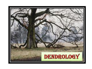 Dendrology