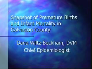 Snapshot of Premature Births and Infant Mortality in Galveston County