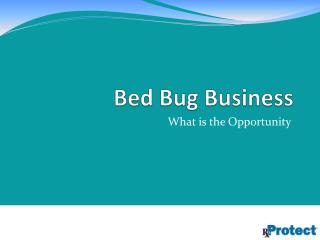 Bed Bug Business