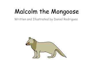 Malcolm the Mongoose