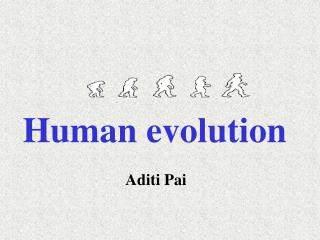 Human evolution