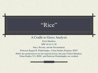 “Rice”