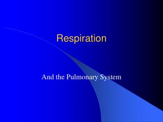 PPT - Respiration PowerPoint Presentation, free download - ID:1711241