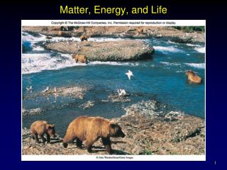 Matter, Energy, and Life