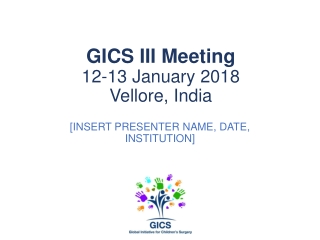 GICS III Meeting 12-13 January 2018 Vellore, India