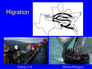 PPT - Migration PowerPoint Presentation, Free Download - ID:1715529