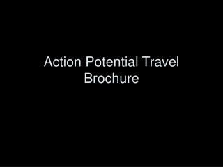 Action Potential Travel Brochure