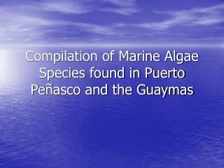 Compilation of Marine Algae Species found in Puerto Pe ñasco and the Guaymas
