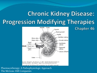 Chronic Kidney Disease: Progression Modifying Therapies Chapter 46