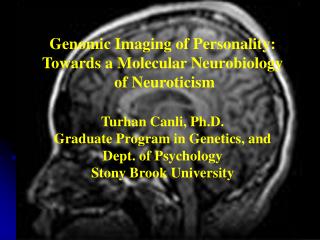 Genomic Imaging of Personality: Towards a Molecular Neurobiology of Neuroticism Turhan Canli, Ph.D. Graduate Program in
