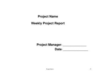 Project Name Weekly Project Report