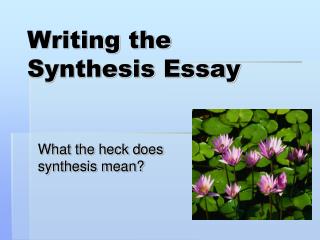 Writing the Synthesis Essay