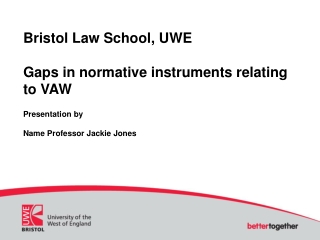 Bristol Law School, UWE Gaps in normative instruments relating to VAW