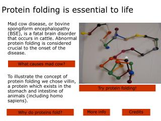 Protein folding is essential to life