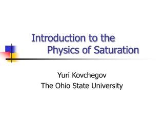 Introduction to the Physics of Saturation
