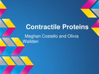 Contractile Proteins