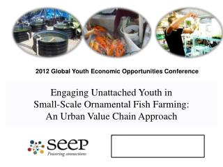 Engaging Unattached Youth in Small-Scale Ornamental Fish Farming: An Urban Value Chain Approach
