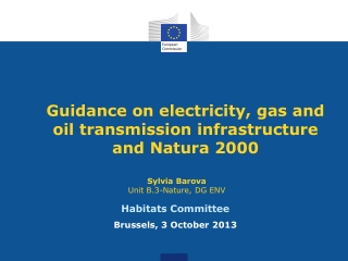 Guidance on electricity, gas and oil transmission infrastructure and Natura 2000